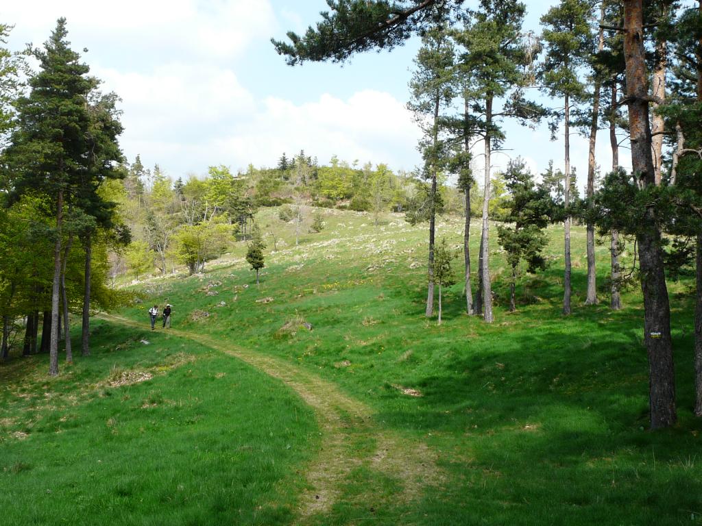 Ardeche, 02-05-09, 15-24.jpg